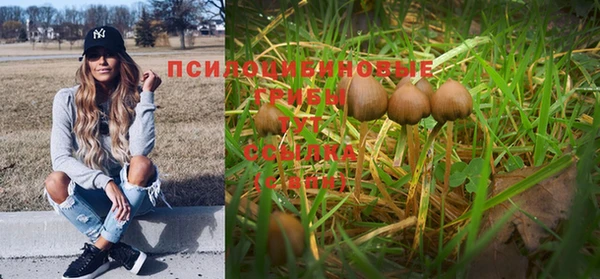 ешки Володарск