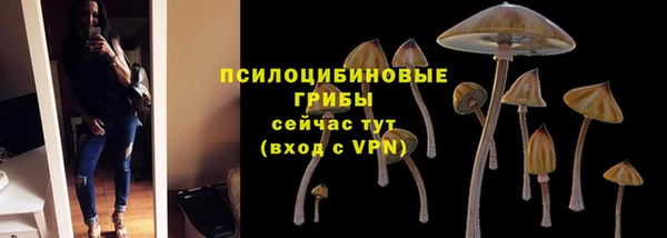 хмурый Волосово