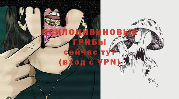хмурый Волосово