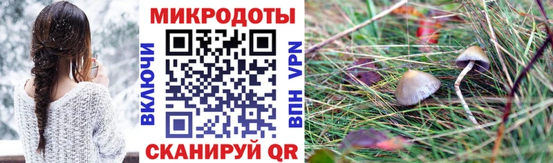 Псилоцибиновые грибы Magic Shrooms где найти Находка